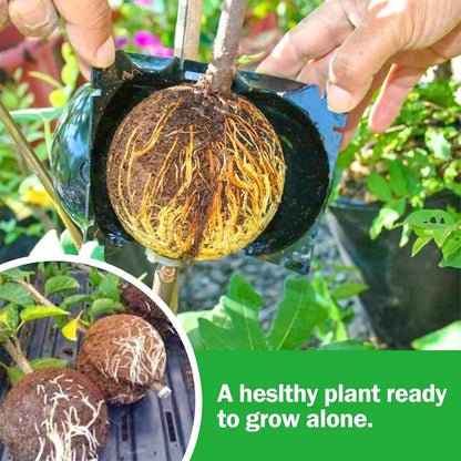 RacinePro™ - Boîte de culture de racines pour plantes