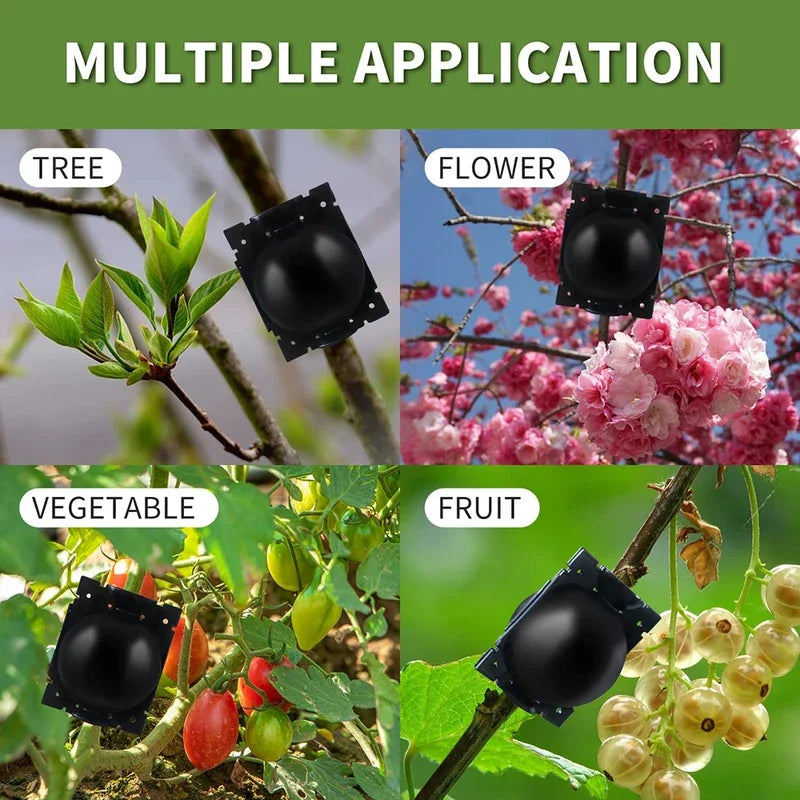 RacinePro™ - Boîte de culture de racines pour plantes
