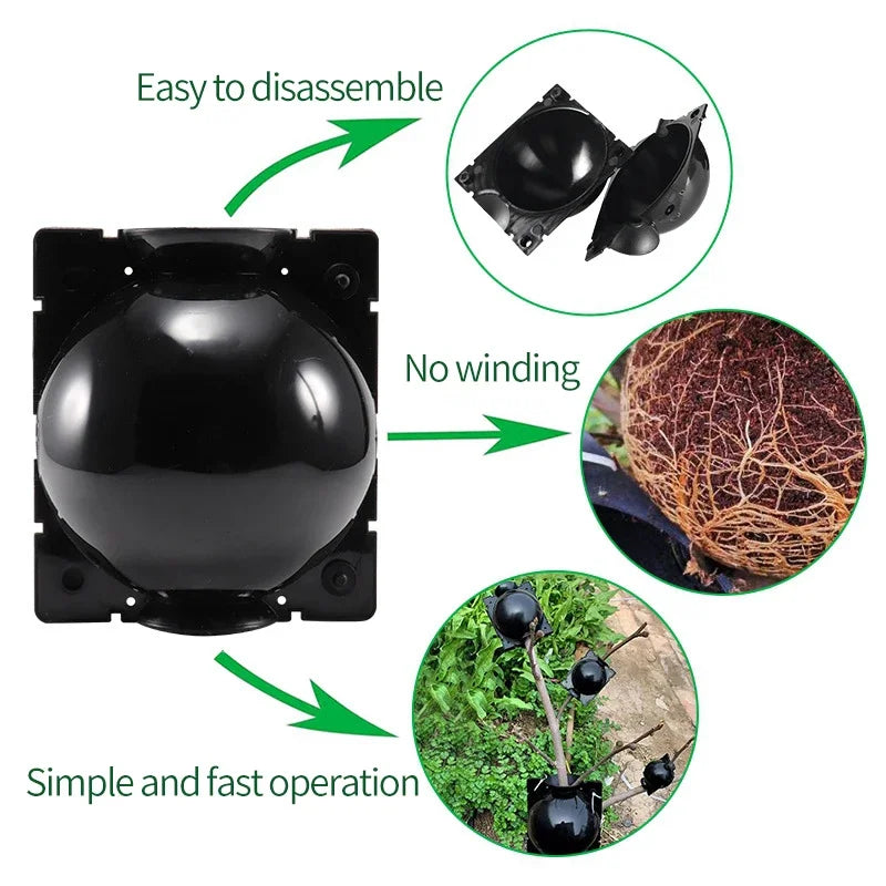 RacinePro™ - Boîte de culture de racines pour plantes