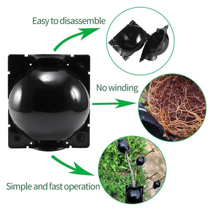 RacinePro™ - Boîte de culture de racines pour plantes