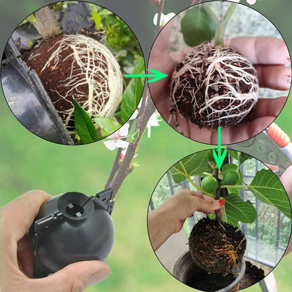 RacinePro™ - Boîte de culture de racines pour plantes